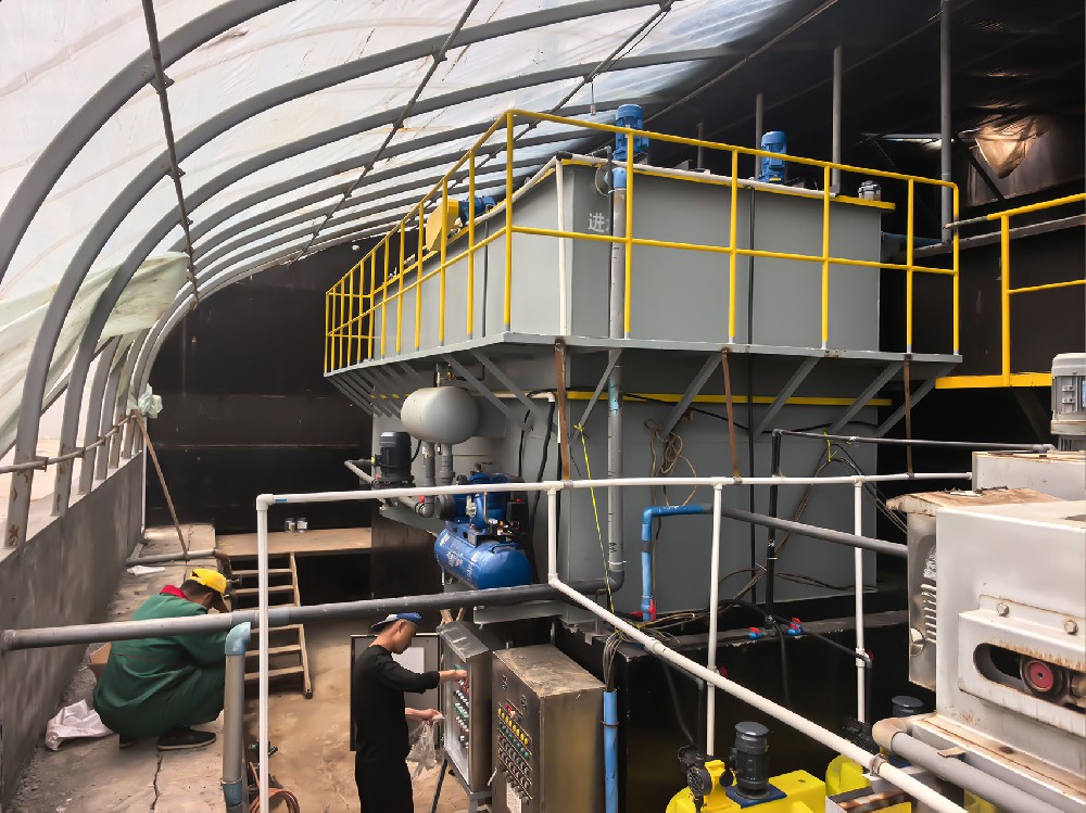 不同規(guī)模養(yǎng)豬場(chǎng)廢水處理設(shè)備配置指南